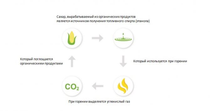 Екологичен продукт, биогориво.