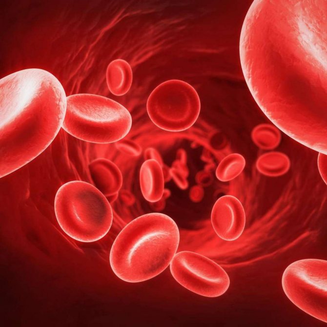 IR лъчението подобрява кръвообращението