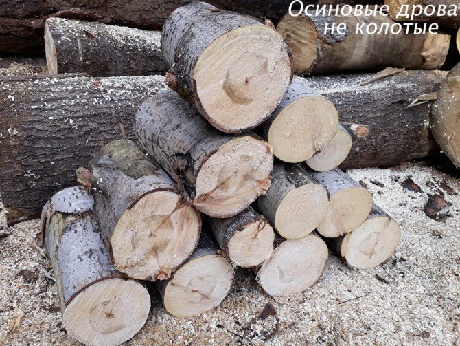 Осиновите дърва за огрев не се нарязват