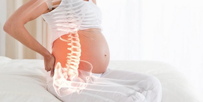 Защо долната част на гърба боли по време на ранна и късна бременност?